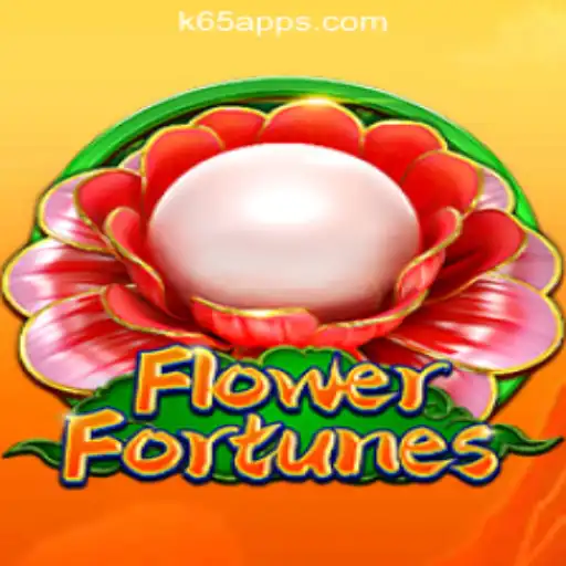 K65.COM Oficial Slots Brasil #1 Casino App