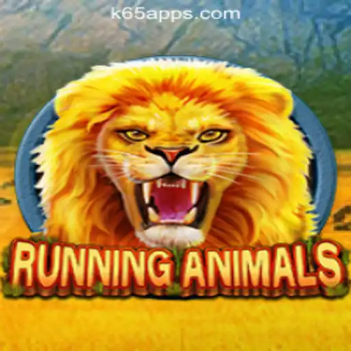K65.COM Oficial Slots Brasil #1 Casino App
